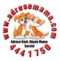 Adrese Mama Servis Hizmetleri – istanbul