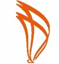 Aktif Kitabevi – kayseri