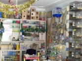 Aslan Akvaryum – hatay