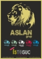 Aslan Grup – istanbul