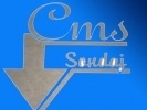 Cms Sondaj – tokat