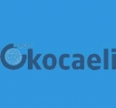 E Kocaeli Web Tasarımı – kocaeli