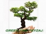 Green Time Peyzaj – istanbul