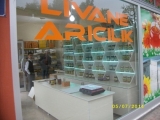Livane Arıcılık – artvin