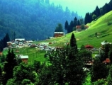 Nafiz Oto Kiralama Turizm Ltd. Şti. – artvin