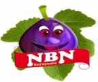 Nbn Kuruyemiş – istanbul