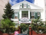 Palmiye Anaokulu – istanbul