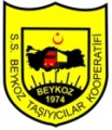 S.s.beykoz Motorlu Taşiyicilar Kooperatifi – istanbul