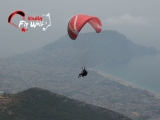 Ulusky-flywolf (caretta) – antalya