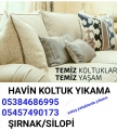 havin koltukyıkama