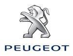 Peugeot  Citroen servisi